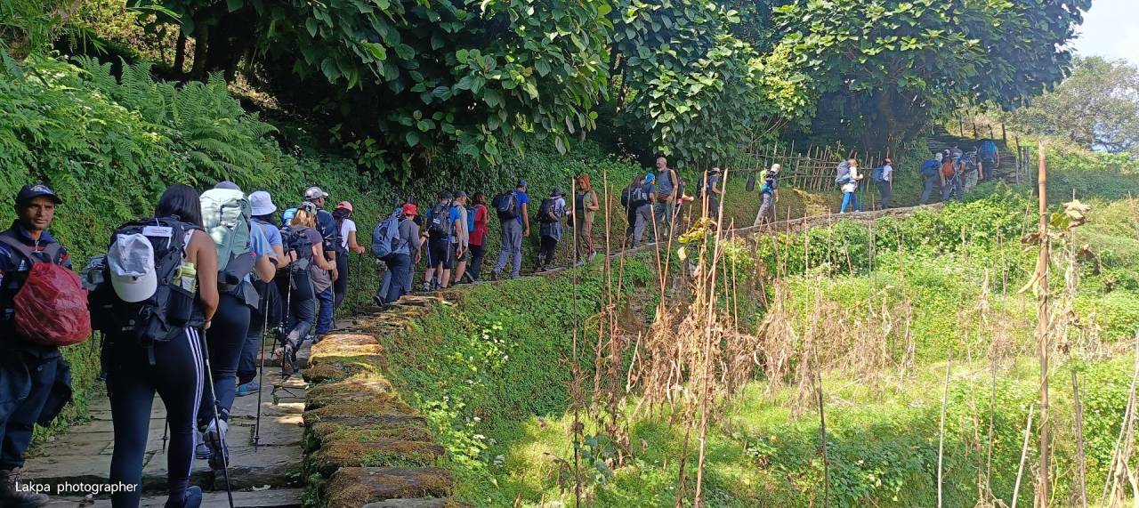 Do I Need a Guide for Trekking in Nepal or Can I Go Solo?